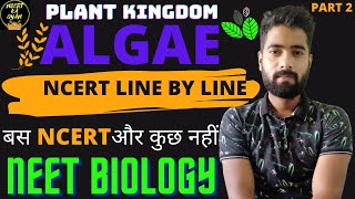 AlgaePlant KingdomNCERT class 11th Biology chapter 3Ncert line by lineNEET [upl. by Eriuqs]