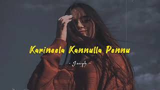 Karineela Kannulla Pennu  Slowed and Reverb  Joseph Movie [upl. by Yrrak]