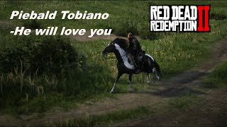 Piebald Tobiano Hungarian Halfbred in Chapter 2  Easy  Red Dead Redemption 2 [upl. by Fridell]