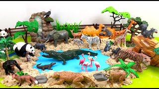 Playmobil Wild Animal Figurines in Safari Diorama Scenery Sets [upl. by Willy]