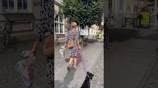 trending shortsvideo viral city walk citywalk style dog germany германия город собака [upl. by Jami]