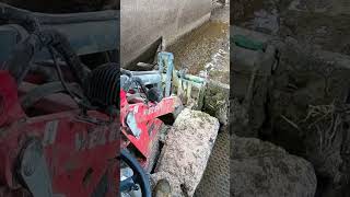 Horse 🐎 Foot Repair Break Nailcuteanimal animals horse shorts shortsfeed shortvideo [upl. by Atiz201]