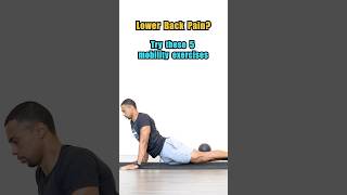 5 lower back mobility exercises fitness lowerbackpain lowerbackpainexercises lowerbodyworkout [upl. by Hsihsa]