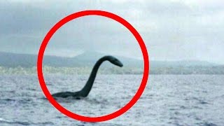 Mysterious Loch Ness Monster [upl. by Tanitansy]