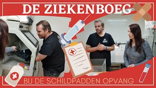 De Ziekenboeg  Dood zieke schildpadden [upl. by Hulburt994]