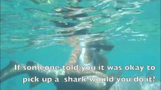 Pull My Finger Shark  Doug Devitre Snorkeling in San Pedro Belize [upl. by Htenaj]