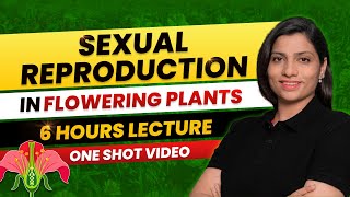 Sexual Reproduction in Flowering Plants Class 12 One Shot All Theory amp PYQs NEET 2024 Ritu Rattewal [upl. by Aihppa]