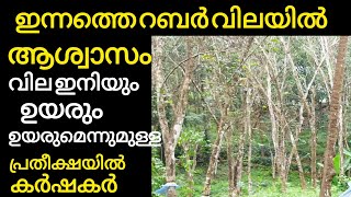 ഇന്നത്തെ റബ്ബർ വില കർഷകർക്ക് വലിയ ആശ്വാസം  Manojnediyackal rubber tapping [upl. by Johnsten]