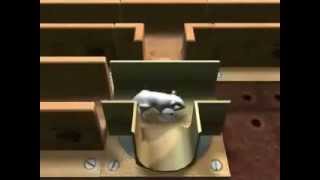 MOUSE TROPHY  VIDEOGAME  TRAILER  SONY PLAYSTATION 2 amp PC CDROM  2004 [upl. by Aikahc51]