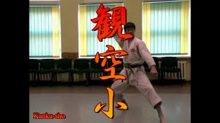 Kanku Sho bunkai our old and short introductory video [upl. by Ahsircal]