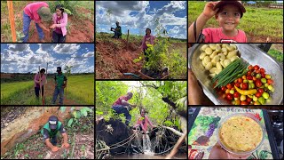 VIVER ASSIM NÃO TEM PREÇOAPROVEITANDO A CHUVA E PLANTAMOS AS ÁRVORES NATIVASRIQUEZAS AQUI NO SÍTIO [upl. by Atinaej444]