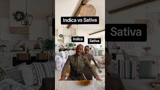 What is the difference between indica and sativa cannabiseducation [upl. by Nola]