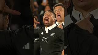 Powerful Haka in Wellington allblacks haka rugby [upl. by Rosie103]