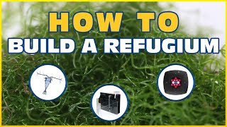 How to Set Up a Refugium Harvesting Macroalgae To Control Nitrate and Phosphate [upl. by Rosmarin]