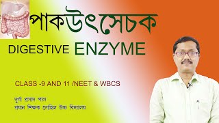 enzyme in bengali digestive enzyme bengali  neet wbcswbbselife science class 9ptyalinpepsin [upl. by Wyatan153]