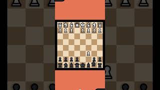 Soller gambit chess [upl. by Ysdnil]