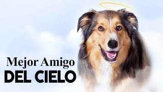 Mejor Amigo Del Cielo  Pelicula Completo [upl. by Eselahs952]