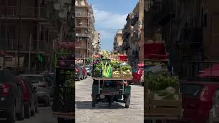 Go le marché de Palerme🤣🤣🤣🤣🇮🇹👍palerme [upl. by Eonak]