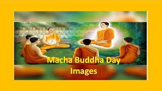 Macha Bucha Day Images  Thailand [upl. by Anissej36]