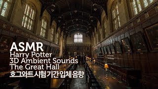 ASMR Harry Potter 공부할 때 듣는●호그와트 OWL시험 기간그레이트 홀 입체 음향  Hogwarts The Great Hall 3D Ambient Sounds [upl. by Leavelle]