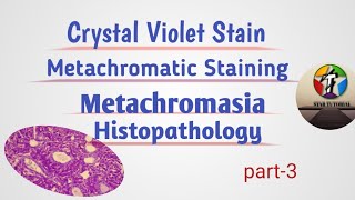 Crystal Violet Stain ll Metachromatic staining ll Histopathology [upl. by Taryne619]