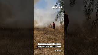 incendio en pastizales en un baldío en Prados La Capilla Querétaro [upl. by Eaned698]