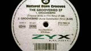 Natural Born Grooves  Groovebird [upl. by Rifkin]