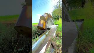 Irrigation System With Bulls shorts viral youtubeshorts irrigationmachines [upl. by Cerelly]