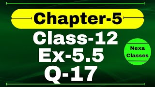 Class 12 Ex 55 Q17 Math  Differentiability  Q17 Ex 55 Class 12 Math  Ex 55 Q17 Class 12 Math [upl. by Lednem250]