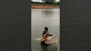 Fishing Adventure with Traditional Fish Nets  Fisherman Skills in Action shortvideo minivlog [upl. by Ragan422]