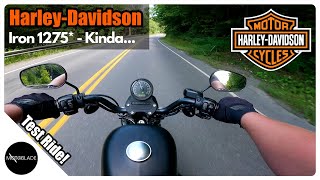 HarleyDavidson Iron 1275 Test Ride [upl. by Eluj]