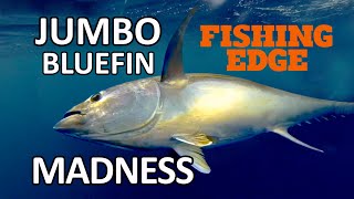 Fishing Edge episode  Jumbo Bluefin Madness [upl. by Paten]