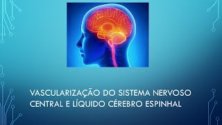 VASCULARIZAÇÃO DO SISTEMA NERVOSO CENTRAL E LÍQUIDO CÉREBRO ESPINHAL [upl. by Trudy965]