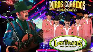 Corridos A Quema Ropa🎶 Los Tucanes De Tijuana 30 Exitos🤠 Puros Corridos Pesados Mix 2024 lachona [upl. by Ariajay]