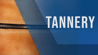 Wastewater Treatment for Tannery Industry  Rochem India [upl. by Ramedlaw597]