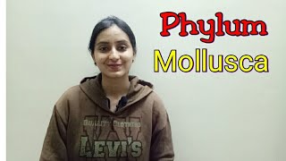 Phylum Mollusca  Biological classification part 17  Class XILecture 45 [upl. by Nohpets]