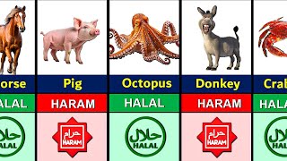 Halal and Haram Animal Meat in Islam [upl. by Helgeson]