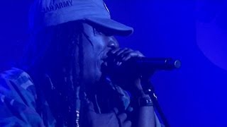 Alpha Blondy  Live au Nancy Jazz Pulsation [upl. by Glenna]