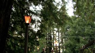 Mount Hermon Santa Cruz Mountains Facilities Overview [upl. by Fassold]