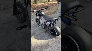 Built Predator 212 Mini Drag Bike  NR Racing 274 Cam [upl. by Veradi498]