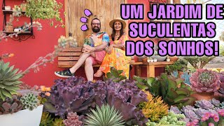 ESSE JARDIM DE SUCULENTAS SEMPRE ME SURPREENDE [upl. by Aia]