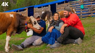 Yaylacı Anne ve Çoban Oğulları Dağlara Doğru  Belgesel4K [upl. by Savdeep709]