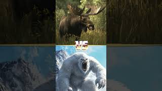 BigFoot Vs Mammoth Polar Bear Wolf Whales Sharks Placoderm [upl. by Ahsimac634]