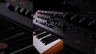 Bass sound with Moog Subsequent 37 🎧 ❤️ [upl. by Buxton]