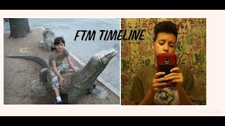 FTM Timeline [upl. by Euseibbob150]