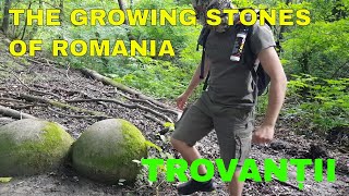 The Mysterious Growing Stones of Romania  Dealul Feleacului [upl. by Spanjian]