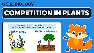 Competition in Plants  GCSE Biology [upl. by Erodroeht511]