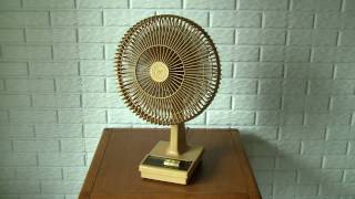 Toastmaster DeLuxe Oscillating Fan [upl. by Leela]