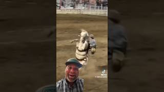 Ride of a Lifetime Cowboys Fearless Encounter with a Legendary Gray Horse rodeo viral [upl. by Dyob]