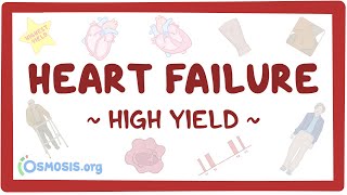 Heart failure Pathology review [upl. by Song]